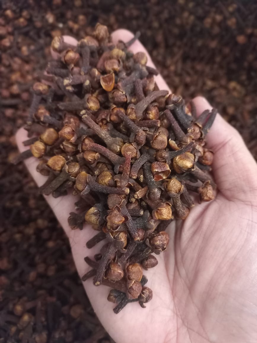 CLOVE AB6 PRODUCT